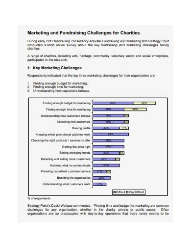 charity marketing strategy pdf